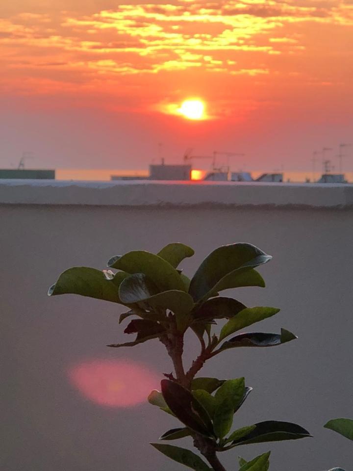 Sibilla Apartment Gallipoli Bagian luar foto